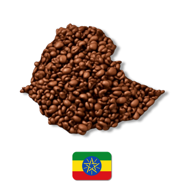 Etiyopya