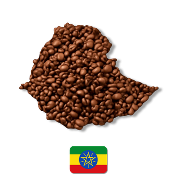 Etiyopya